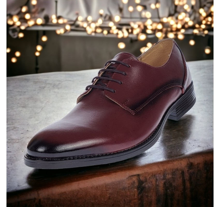 Pantofi barbati, eleganti, piele naturala, Bordeaux, ALEXANDER 990VIS