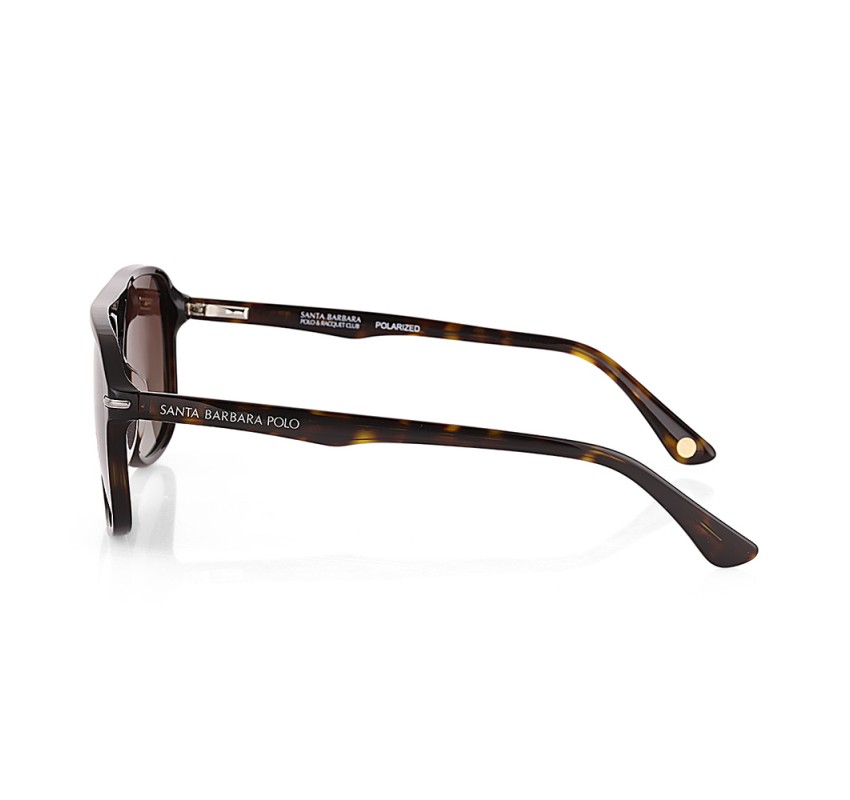 Ochelari de soare maro, pentru barbati, Santa Barbara Polo Sunglasses, SB1111-2