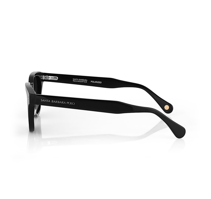 Ochelari de soare gri, pentru barbati, Santa Barbara Polo Sunglasses, SB1113-1