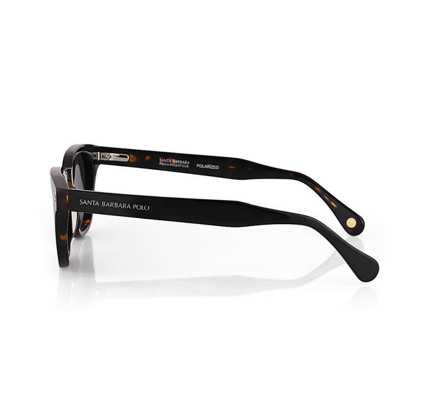 Ochelari de soare gri, pentru barbati, Santa Barbara Polo Sunglasses, SB1113-4