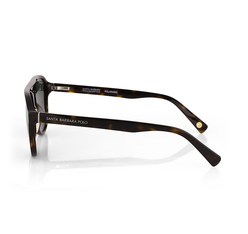 Ochelari de soare gri, pentru barbati, Santa Barbara Polo Sunglasses, SB1118-3