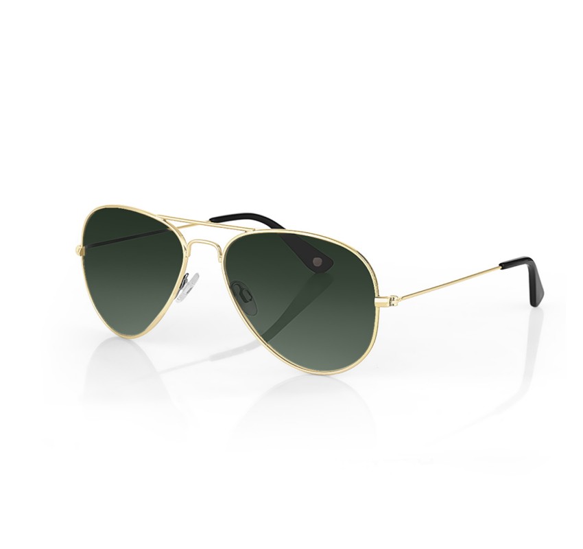 Ochelari de soare gri, pentru barbati, Santa Barbara Polo Sunglasses, SB1120-1